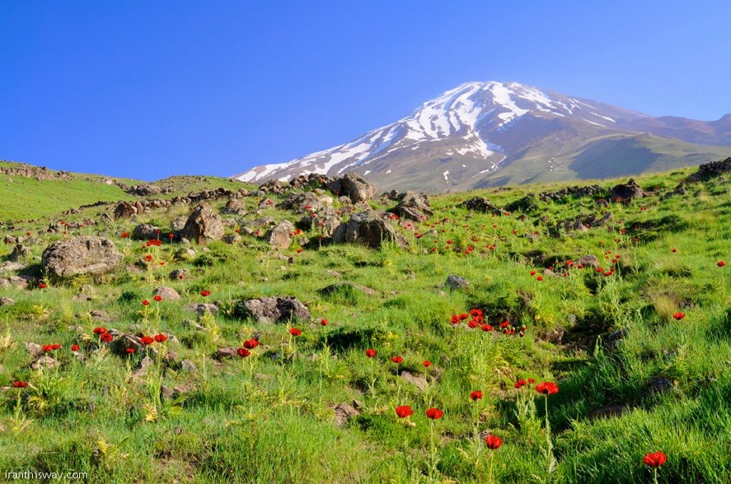 Iran tourism: 30 beautiful surprises waiting to be discovered by adventurous travellers