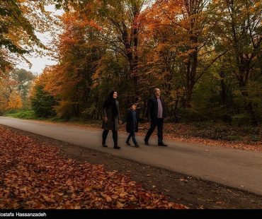 Photo:  Fall in Iran’s Golestan