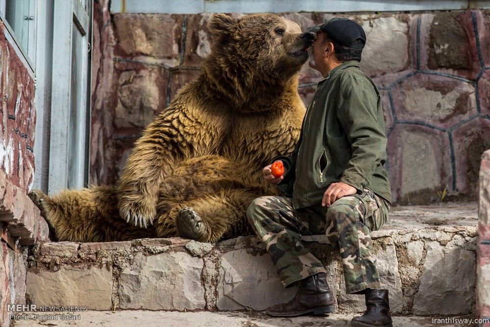 Photo: An Iranian who loves animals