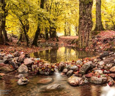 Photo: Iran’s nature in Autumn colors