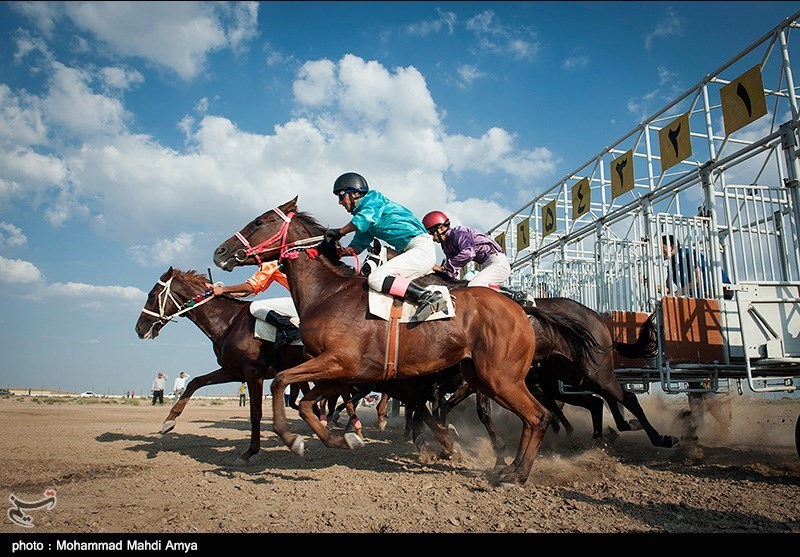 The  horse riding course started in Golestan