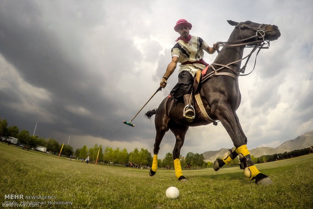 Polo played for nomination on UNESCO list