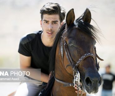 Horse beauty and riding contest held in Arak+Photo