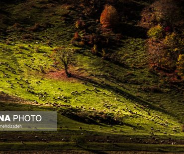 Photo: Beautiful autumn in Arasbaran forest