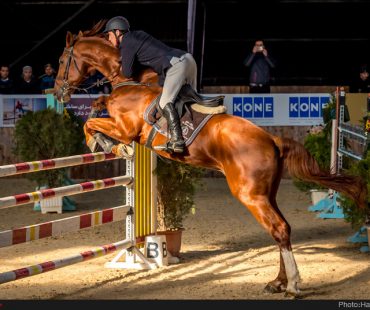 Photo: Iran show jumping Grand Prix