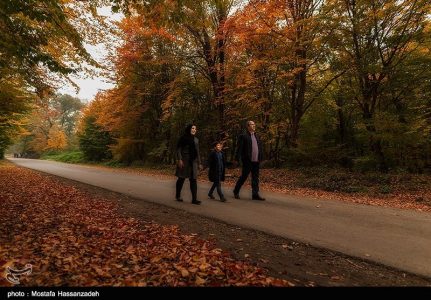 Photo:  Fall in Iran’s Golestan