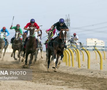 Photo: Yazd horse riding course