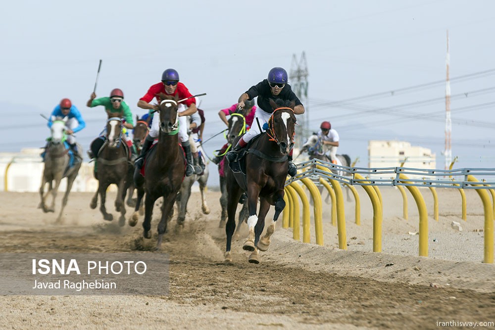 Photo: Yazd horse riding course