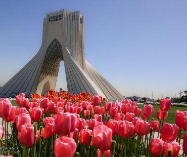 Photo: Spring of tulips in Tehran
