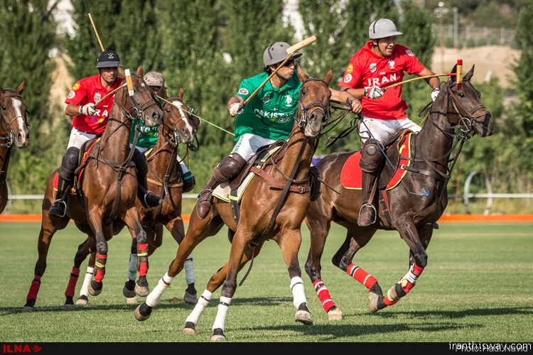 Photo: Tehran hosted the 11th world Polo championship qualification